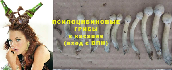 PSILOCYBIN Белоозёрский