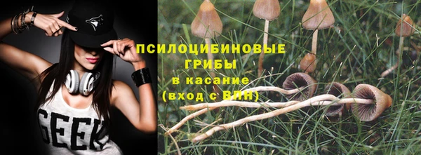 каннабис Беломорск